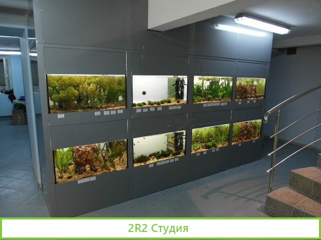 Магазин по продаже аквариумов/бизнесу 20 лет