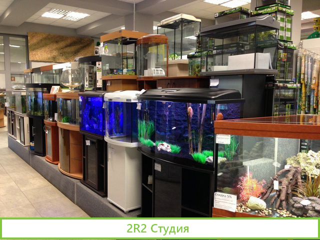 Магазин по продаже аквариумов/бизнесу 20 лет