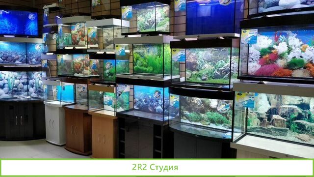 Магазин по продаже аквариумов/бизнесу 20 лет