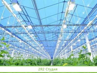 Майнинг отель действующий с тепличным комплексом