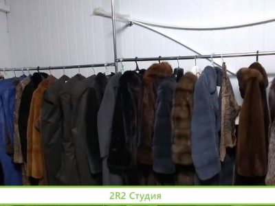 Меховое ателье от дизайнера