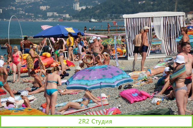 Мидии, устрицы на пляже в Адлере, 2022