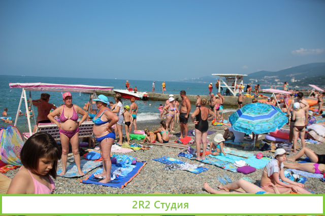 Мидии, устрицы на пляже в Адлере, 2022