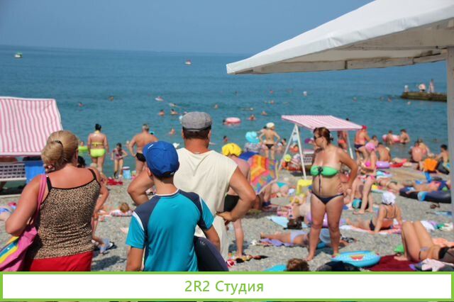 Мидии, устрицы на пляже в Адлере, 2022