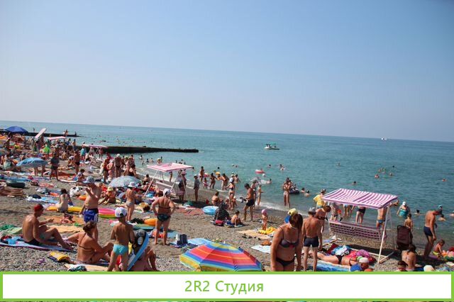 Мидии, устрицы на пляже в Адлере, 2022