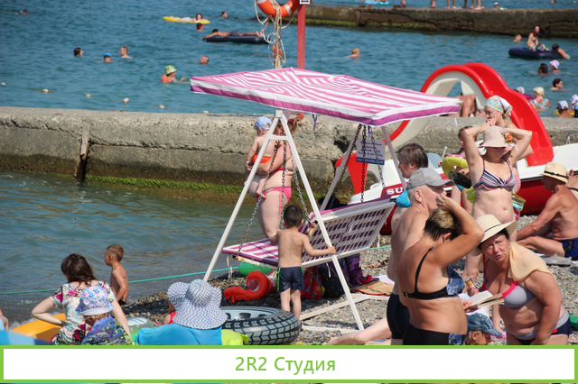 Мидии, устрицы на пляже в Адлере, 2022