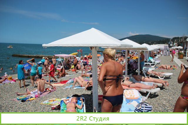 Мидии, устрицы на пляже в Адлере, 2022