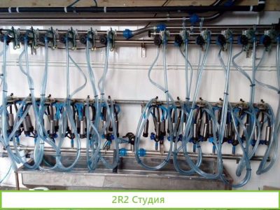 Молокопровод, доильный зал, системы доения