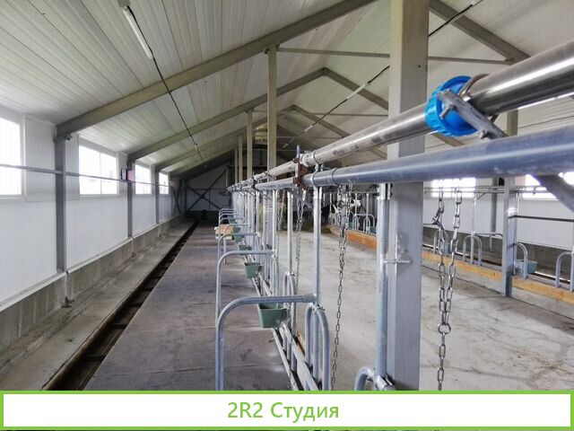 Молокопровод, доильный зал, системы доения