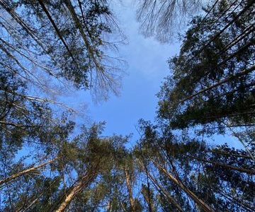 Общественное питание уличная еда