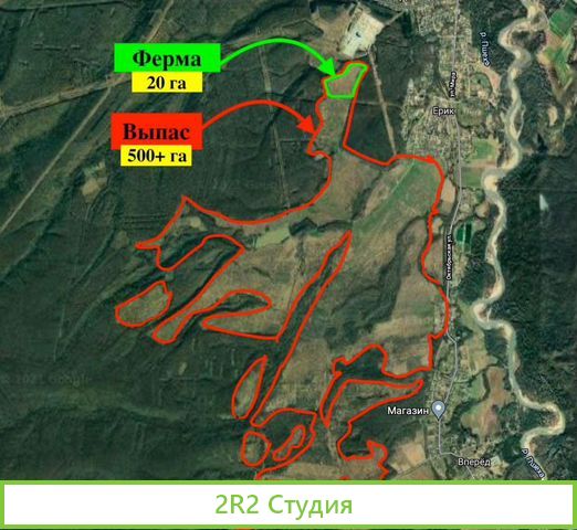 Овечья ферма Наполеон ищет пртнера