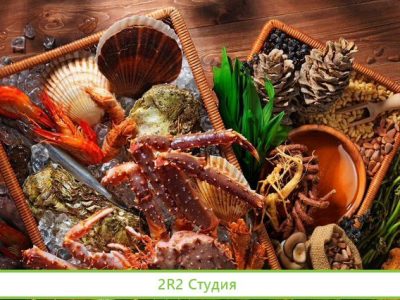 Павильон морепродуктов / Доход 100000