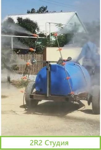 Персиковый сад