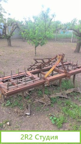 Персиковый сад