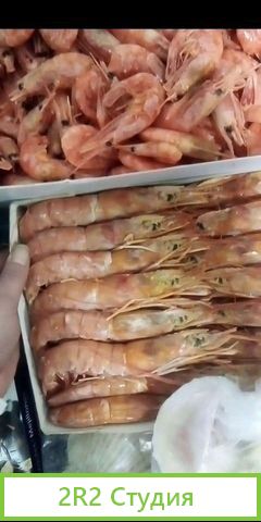 Пивной магазин,разливное пиво,морепродукты