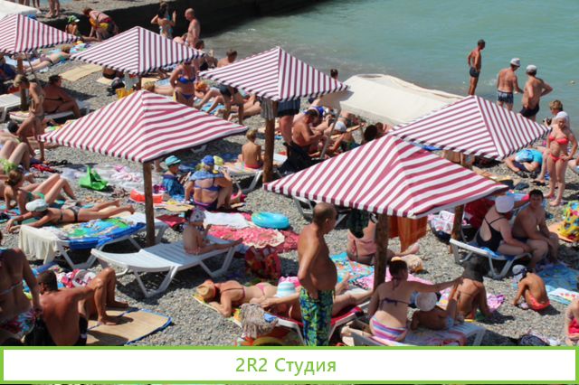 Пончики на пляже, сезон 2022 года