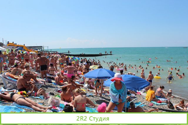 Пончики на пляже, сезон 2022 года