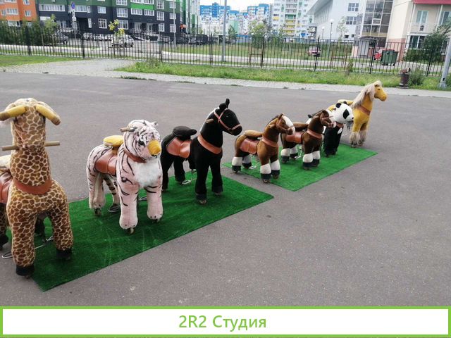 Понициклы