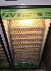 Пpoдаeтся готовый действующий бизнес по выpащивaни