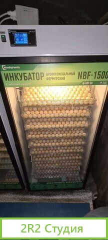 Пpoдаeтся готовый действующий бизнес по выpащивaни