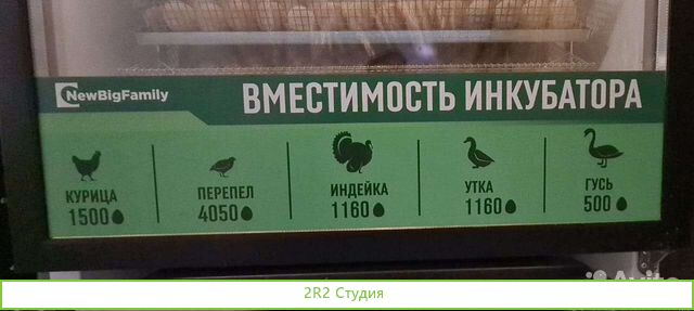 Пpoдаeтся готовый действующий бизнес по выpащивaни