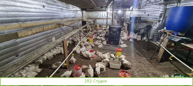 Пpoдаeтся готовый действующий бизнес по выpащивaни