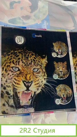 Предприятие по выпуску пленок и пакетов под ключ