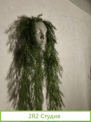 Продается готовый бизнес Barkitchen moments сем