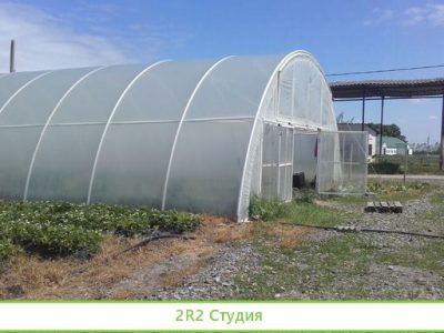 Продается тепличное хозяйство
