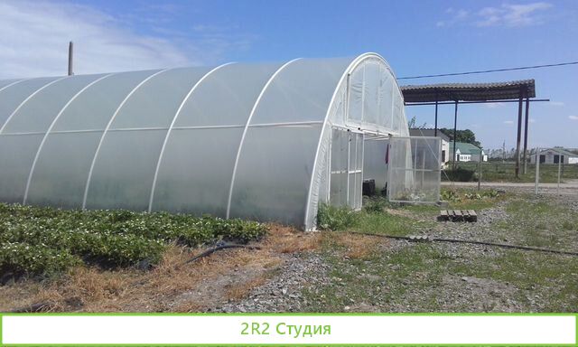 Продается тепличное хозяйство
