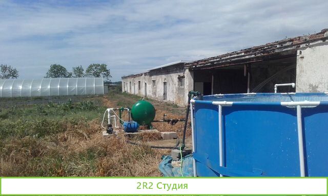 Продается тепличное хозяйство