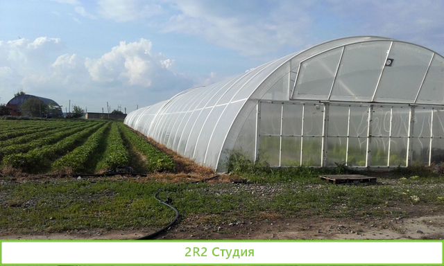 Продается тепличное хозяйство