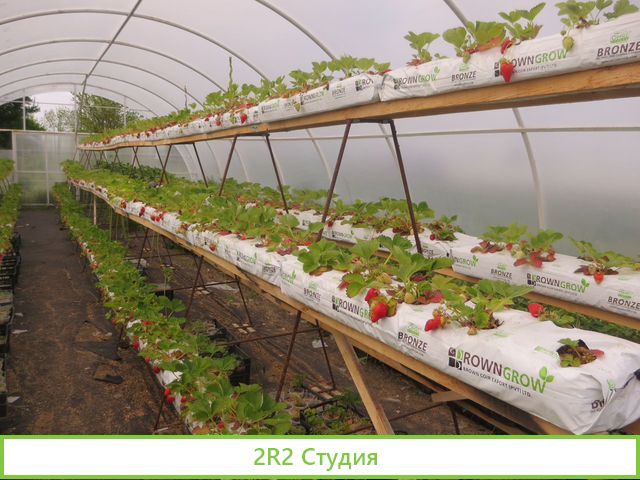 Продается тепличное хозяйство