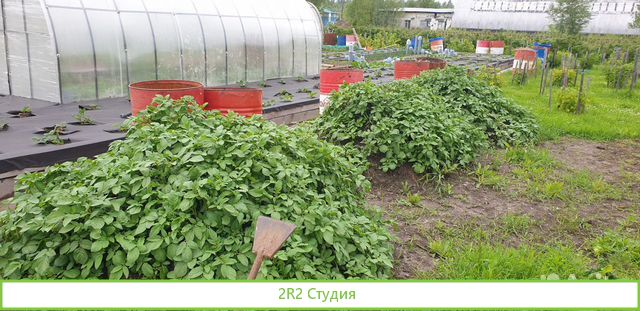 Продам базу сельхоз -назначения - 66 230 м2