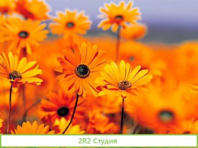 Продам экспертно-оценочную компанию