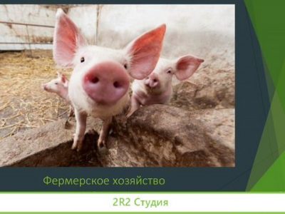 Продам фермерское хозяйство
