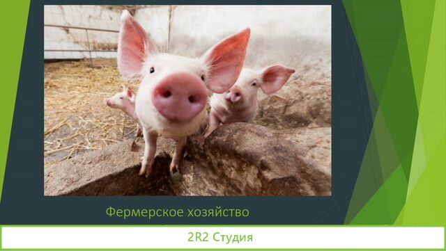 Продам фермерское хозяйство