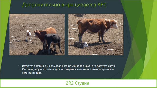Продам фермерское хозяйство