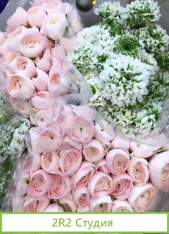 Продам готовый бизнес - цветочный салон