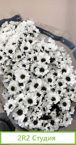 Продам готовый бизнес - цветочный салон