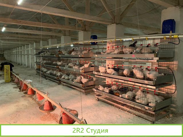 Продам готовый бизнес единственный в России