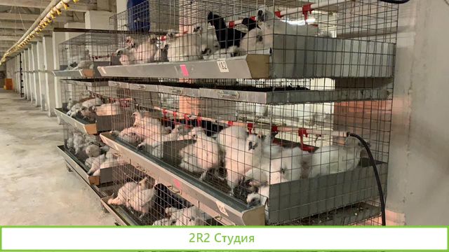 Продам готовый бизнес единственный в России