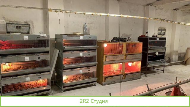 Продам готовый бизнес единственный в России