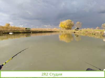 Продам готовый бизнес форелевый пруд
