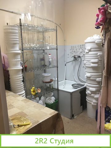 Продам готовый бизнес. Магазин цветов