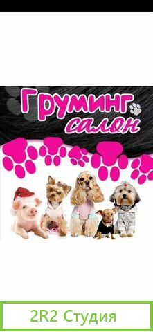 Продам готовый бизнес салон красоты для животных