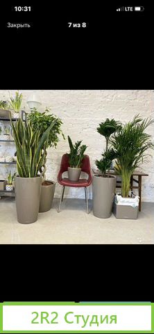 Продам готовый бизнес:цветочный салон