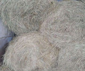 Продам готовый Сенной бизнес сельское хозяйство
