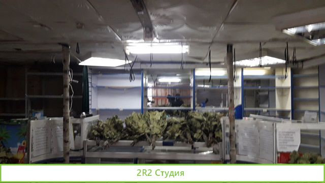 Продам или Сдам охраняемую торговую точку