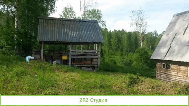 Продам пасеку